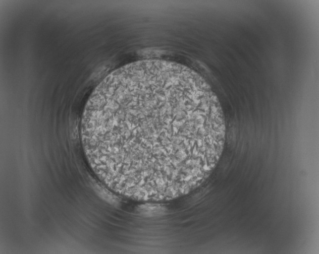 X0000080700477200701121756