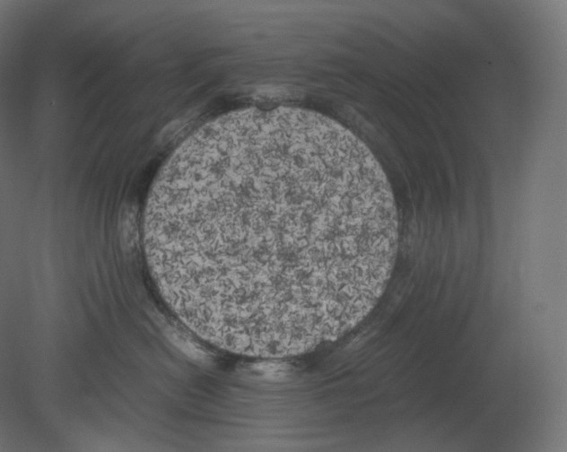 X0000080700478200701121756