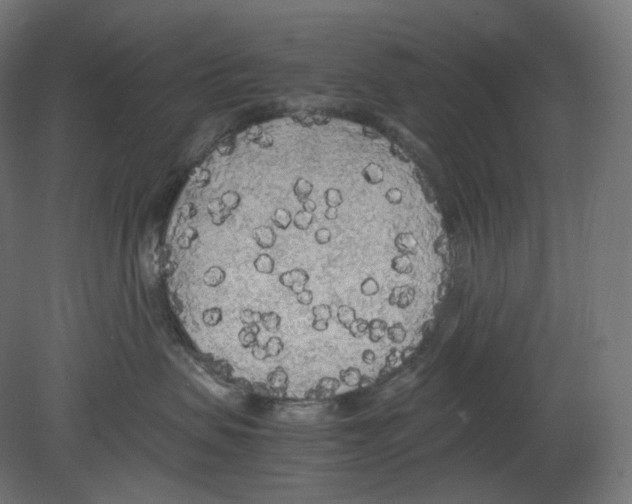 X0000080700479200701121756