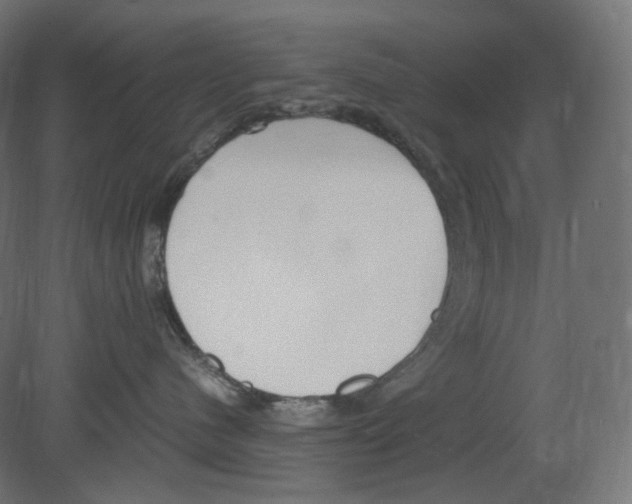 X0000080700480200701121756