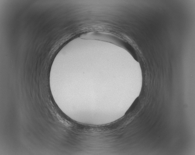 X0000080700481200701121755