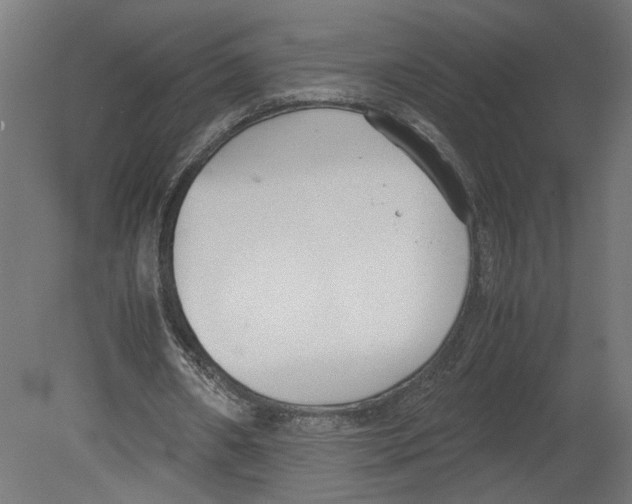 X0000080700482200701121755