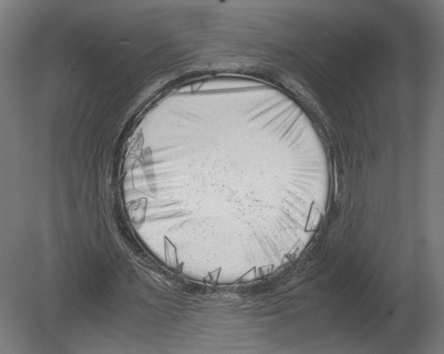 X0000080700483200701121755