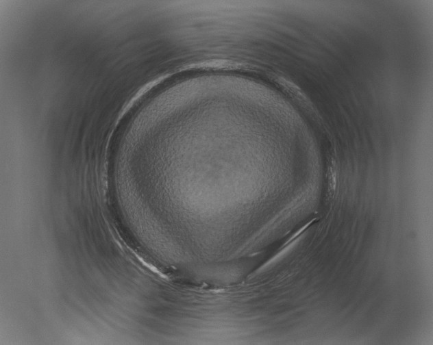 X0000080700484200701121755