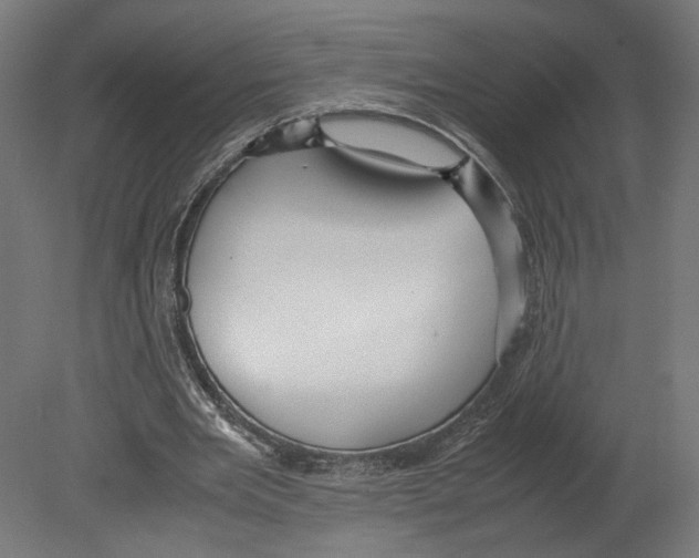 X0000080700485200701121755