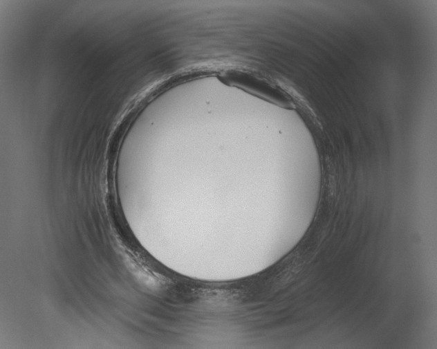 X0000080700486200701121755