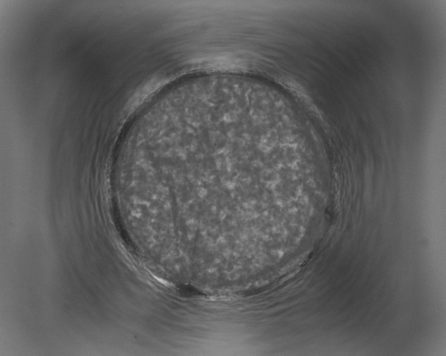 X0000080700487200701121755