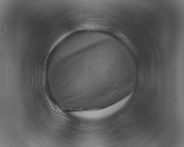 X0000080700488200701121755