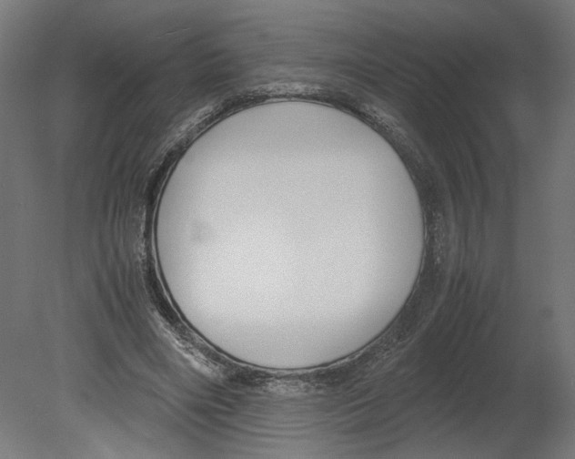 X0000080700490200701121755