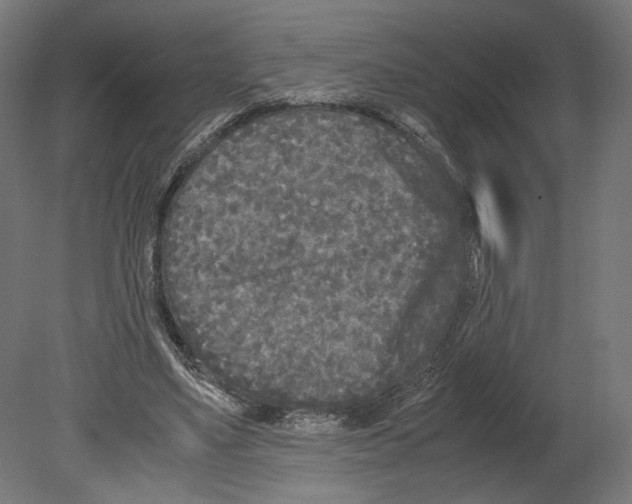 X0000080700491200701121755