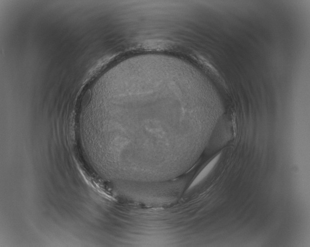 X0000080700492200701121755