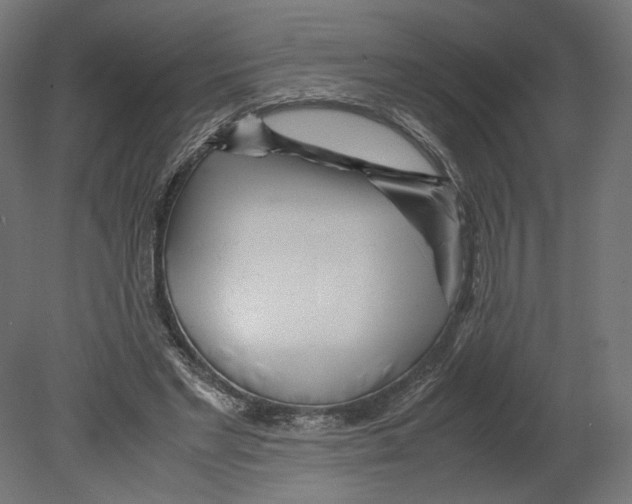 X0000080700493200701121755