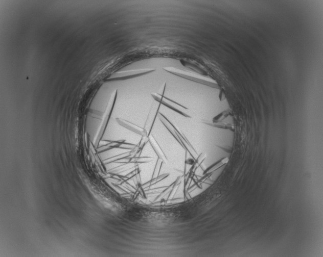 X0000080700494200701121755