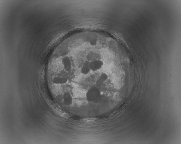 X0000080700495200701121755