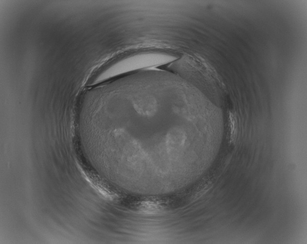 X0000080700496200701121755