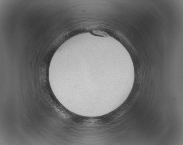 X0000080700497200701121755