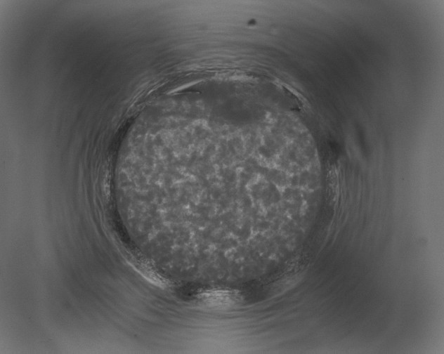 X0000080700499200701121755