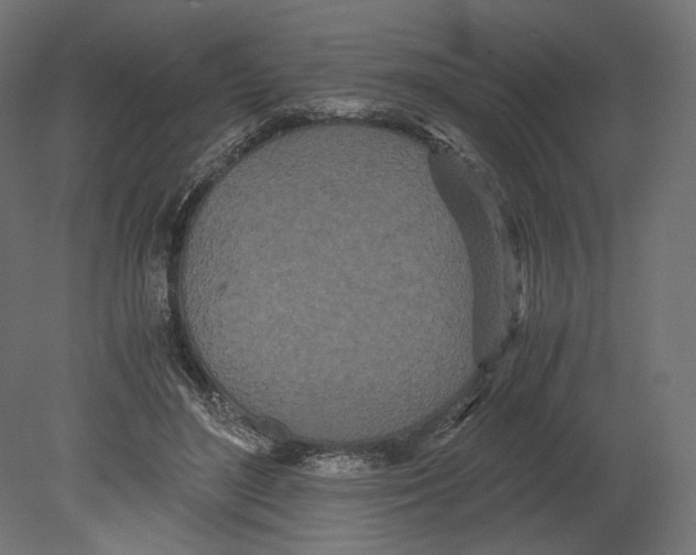 X0000080700500200701121755