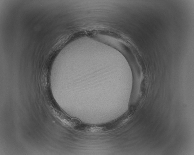 X0000080700501200701121755