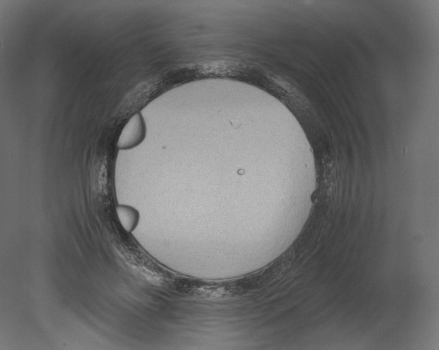 X0000080700502200701121755