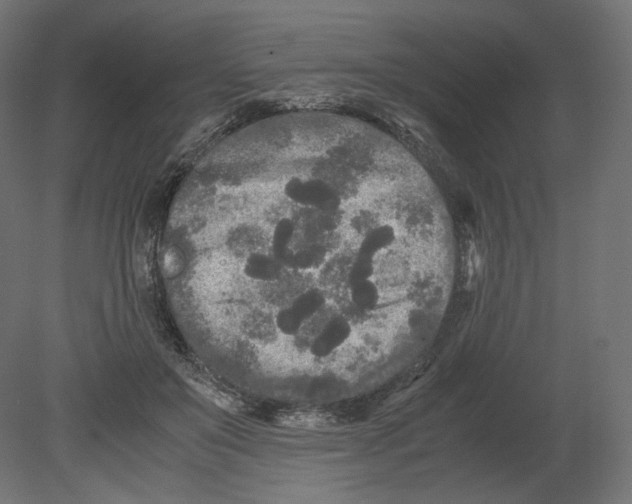 X0000080700503200701121755