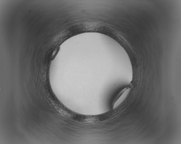 X0000080700505200701121755