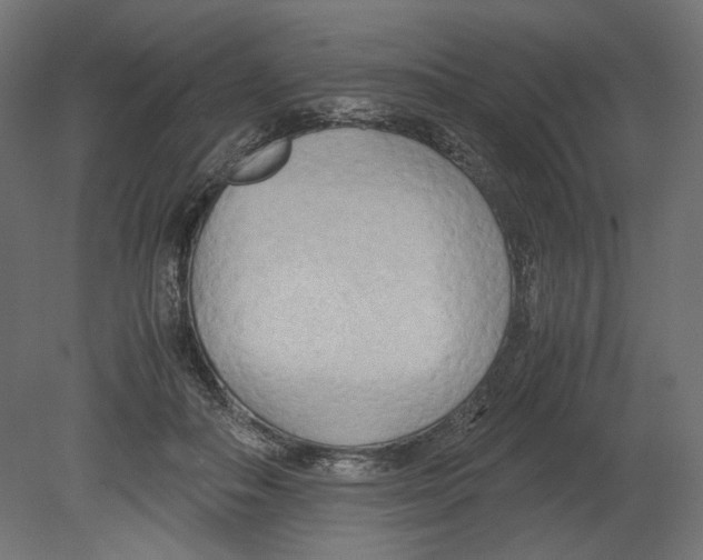 X0000080700506200701121755