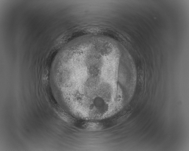 X0000080700507200701121755