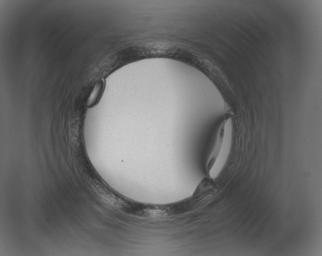 X0000080700509200701121755