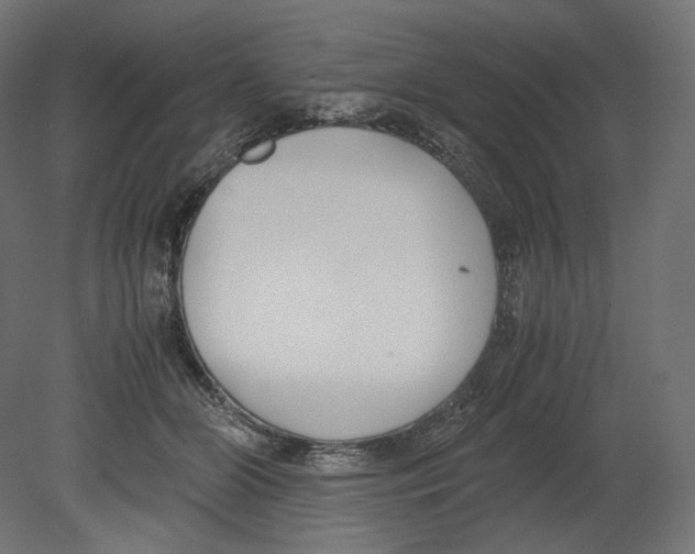 X0000080700510200701121755