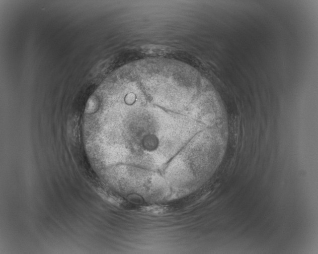 X0000080700511200701121755