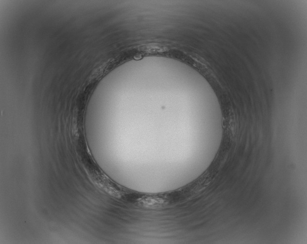 X0000080700512200701121755