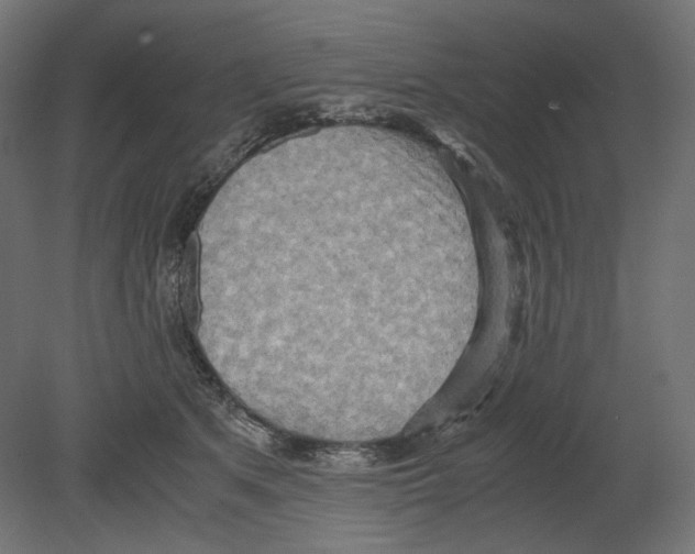 X0000080700513200701121755