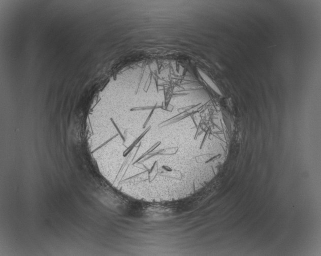 X0000080700515200701121755