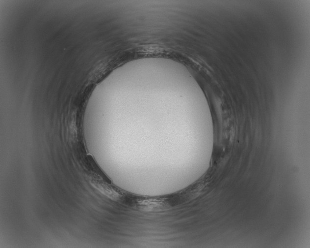 X0000080700516200701121755