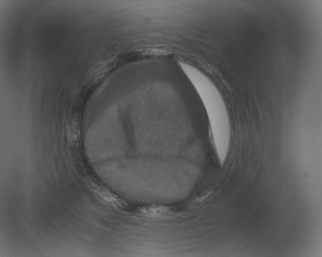 X0000080700517200701121755