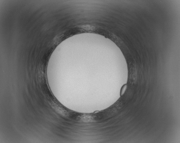 X0000080700518200701121755