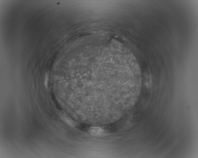 X0000080700519200701121755