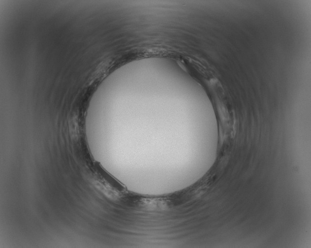 X0000080700520200701121754