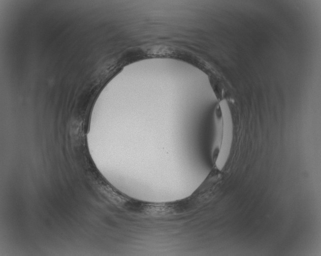 X0000080700521200701121754