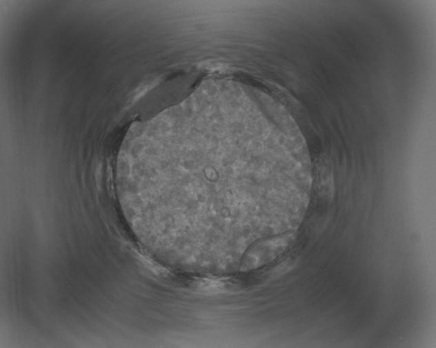 X0000080700523200701121754