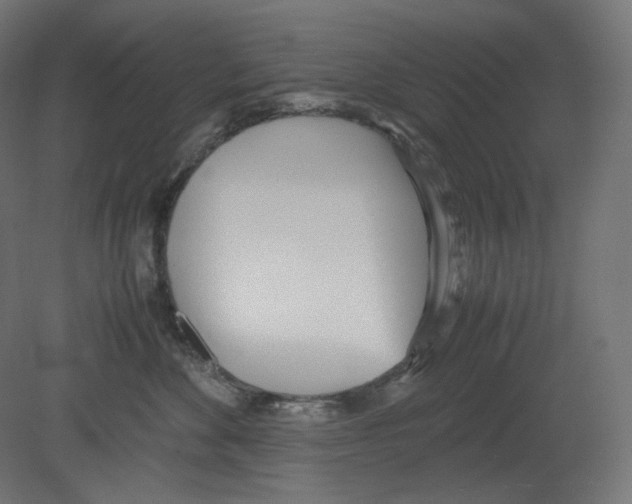 X0000080700524200701121754