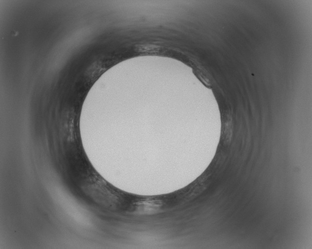 X0000080700525200701121754