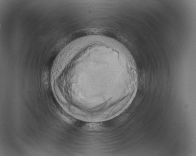 X0000080700526200701121754