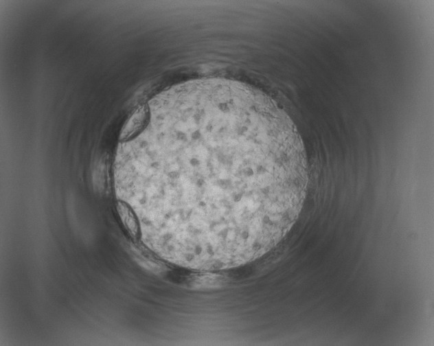 X0000080700527200701121754