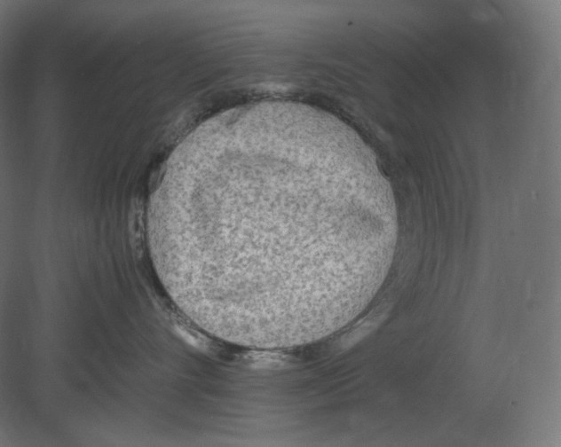 X0000080700528200701121754