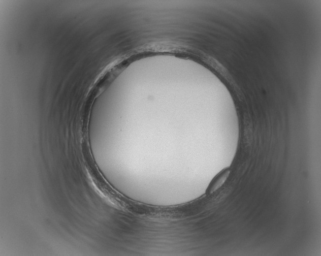 X0000080700530200701121754