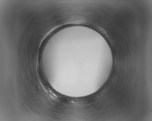 X0000080700532200701121754