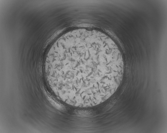 X0000080700533200701121754