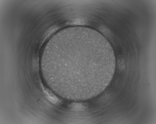 X0000080700534200701121754